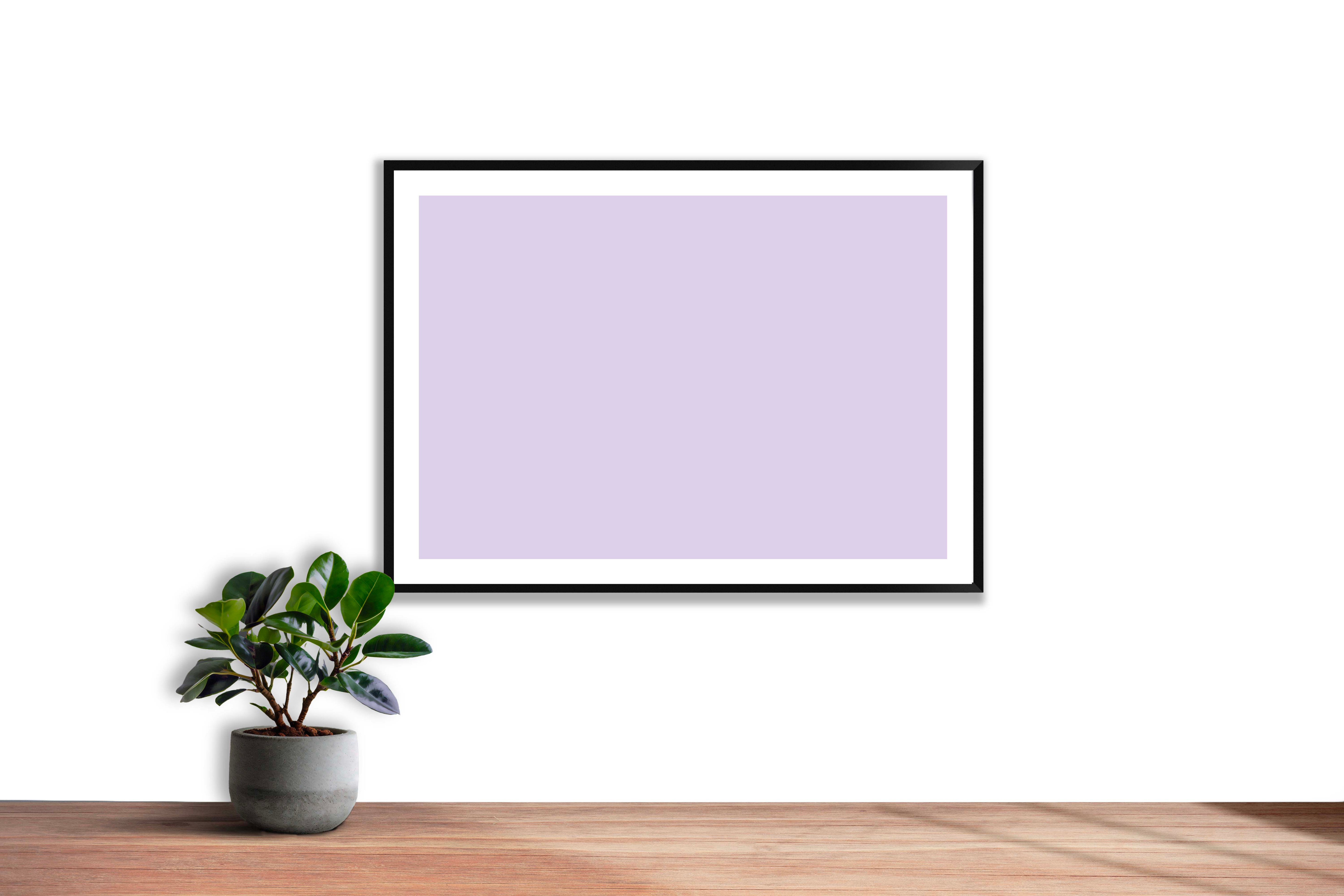 Mauve pastel